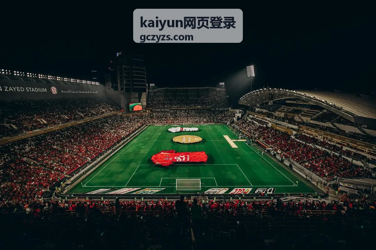 kaiyun网页登录账号重新验证流程示意